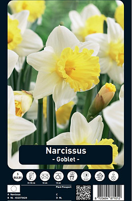 Narcissus Goblet x5 14/16