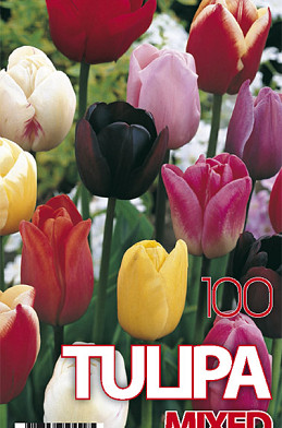 Tulp Gemengd x100 12/+