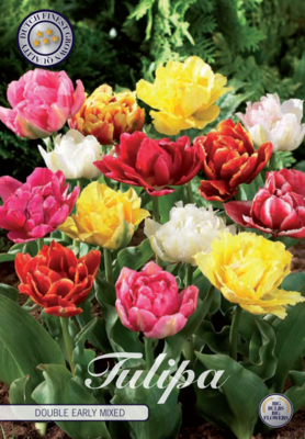 Tulp Double Early Mixed x7 12/+