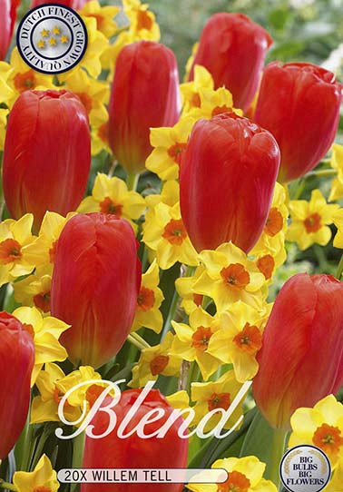 Blend Tulp/Narcis Willem Tell x20 12/14