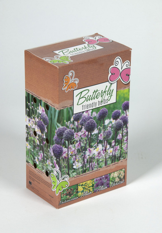 Butterfly  flowerbulb collection ( allium ,siculum , narcissus , anemone ) .