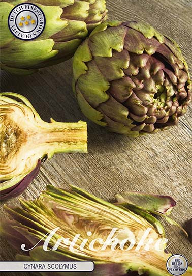 Cynara Artichoke Scolymus x2 I .