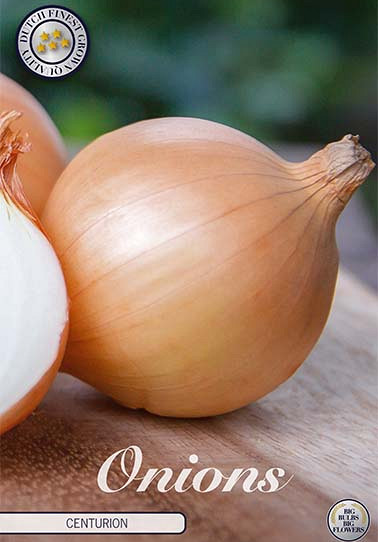 Onion Centurion 250 g I .