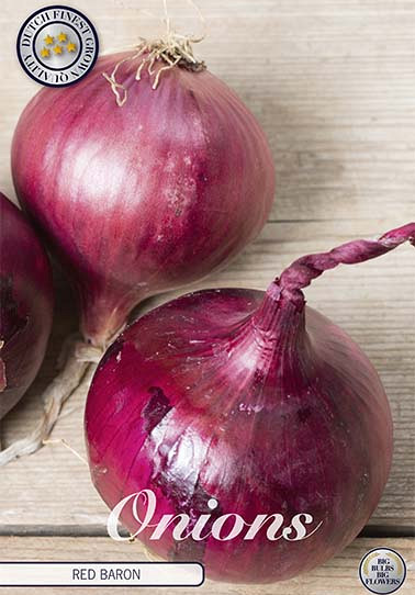 Onion Red Baron 250 g I .