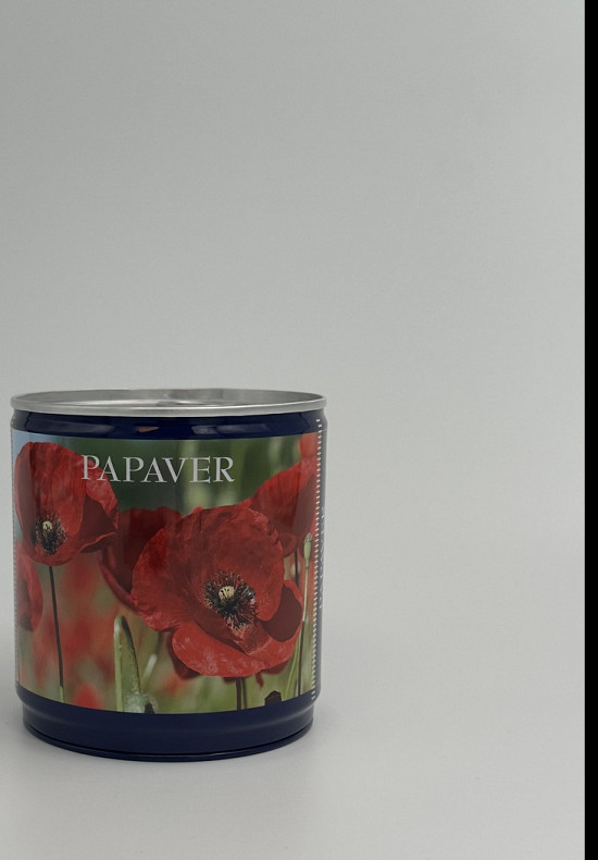 Zaad kweekset Papaver I .