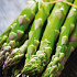 Asparagus Viridis x 2 I .