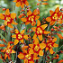 Crocosmia Emily Mckenzier x 10 6/7