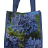 Agapanthus Blauw x1 I .