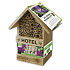 Bee Hotel ( x 10 Liatris ) .