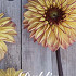 Dahlia Dear Alexander x 1 I I